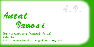 antal vamosi business card