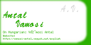 antal vamosi business card
